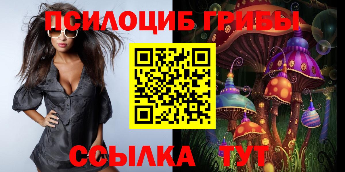 Луховицы  Псилоцибиновые грибы Psilocybine cubensis  хочу наркоту  Галлюциногенные грибы Psilocybine cubensis  Вход с VPN 